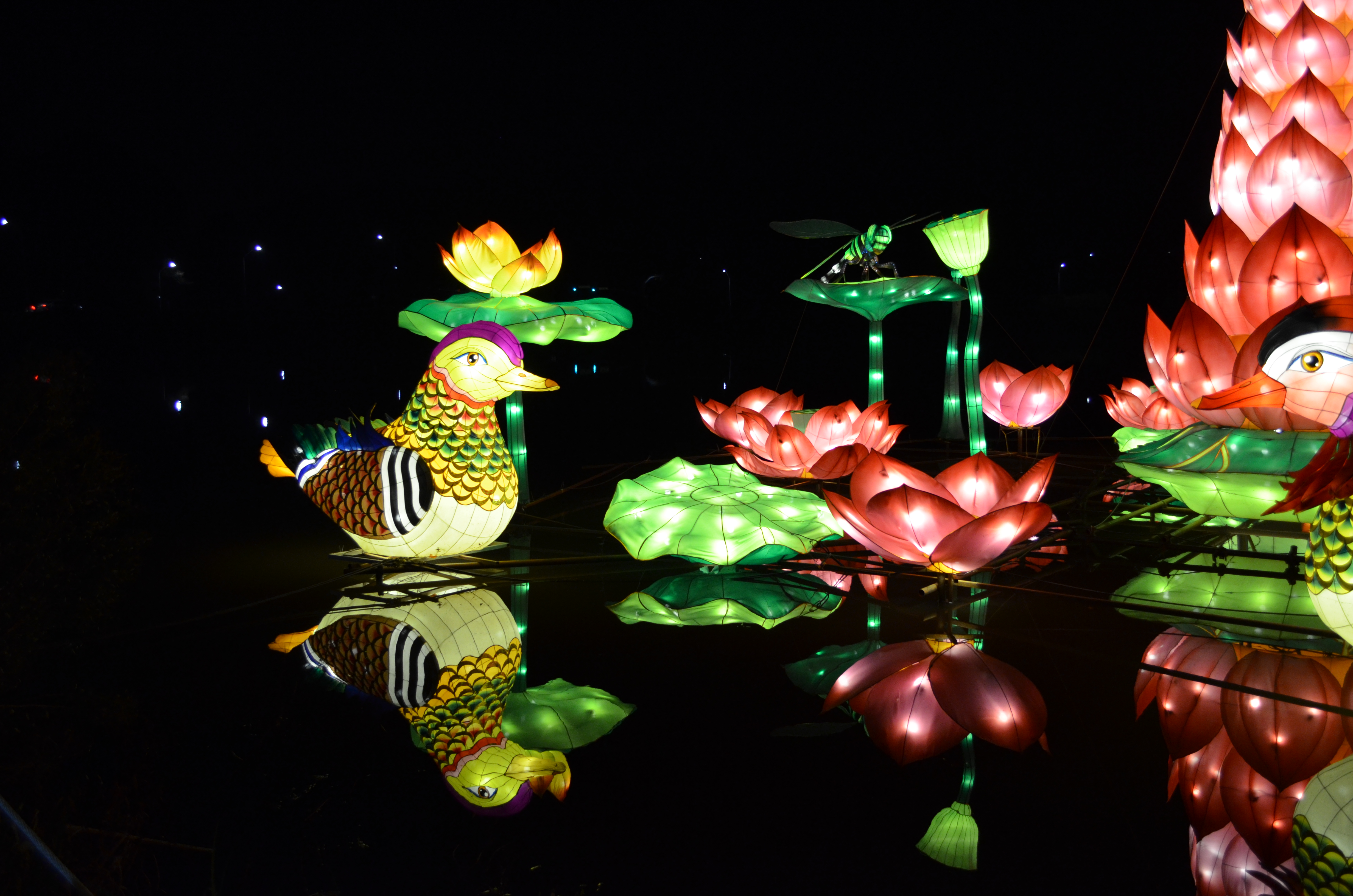 ./2015/33 - Chinese Lantern Festival/DSC_0638.JPG